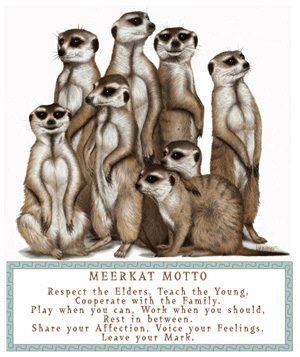 Meerkat Motto: Respect the Elders, Teach the Young, Cooperate with the Family, Play when you can, Work when you should, Rest in between. Share your Affection, Voice your Feelings, Leave your Mark.