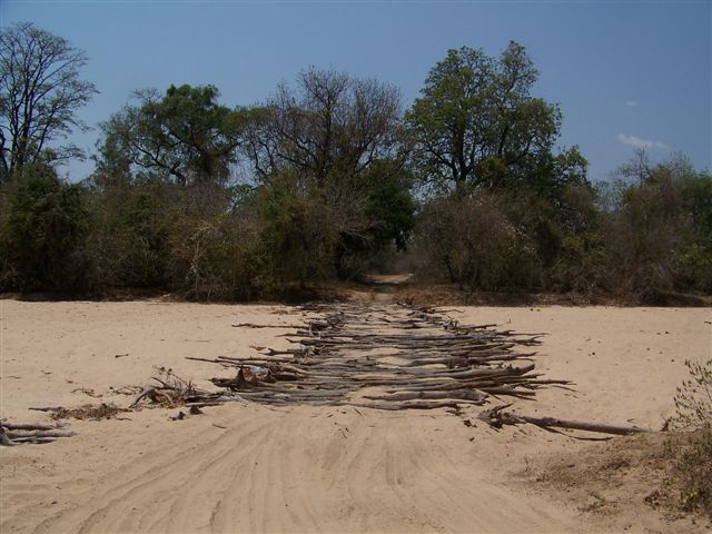 Mana