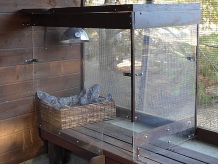 Heat lamp